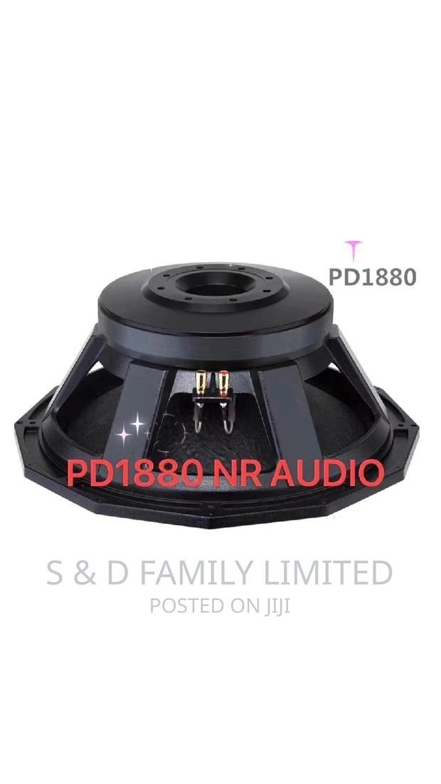 PD 1880 18 Inch Naked Speaker