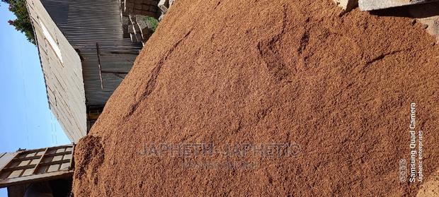 Riversand, Very Clean Safi Sana - main view