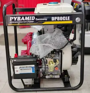 14hp Pyramid Germany Diesel Water Pump