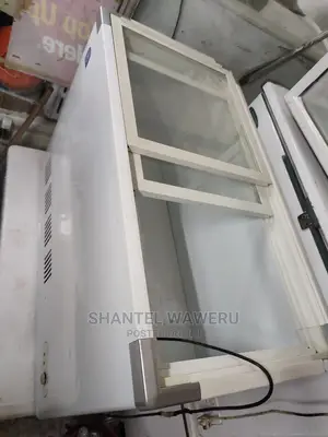 Display Freezer 300litres
