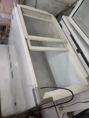 Display Freezer 300litres