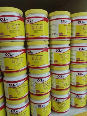 Dcp (Calcium) 250gms - main view