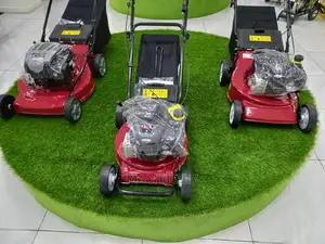 Briggs Stratton Lawn Mower