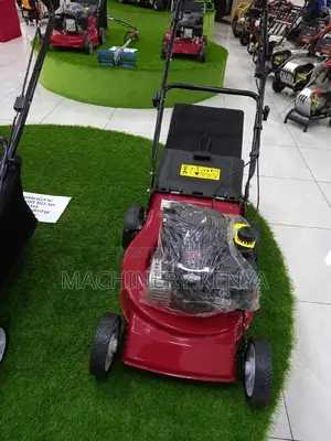 Briggs And Stratton 500e Garden Lawn Mower