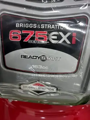 5hp Self-Propelled Briggs and Stratton Mower(675E)