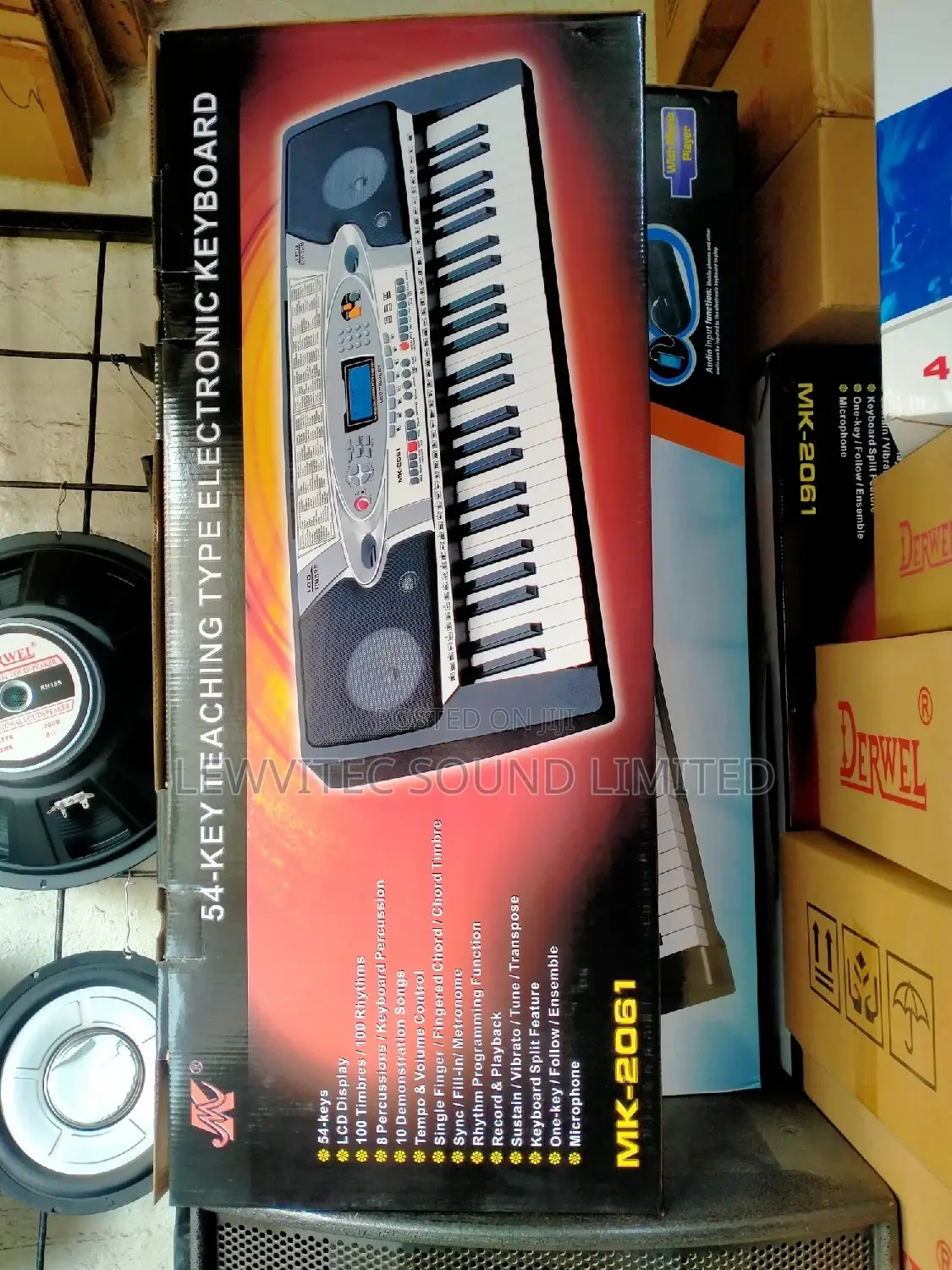 Musical Electronic Keyboard