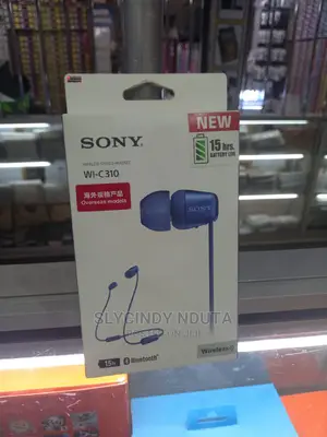 Sony Wi C310