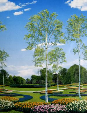 Background - main view