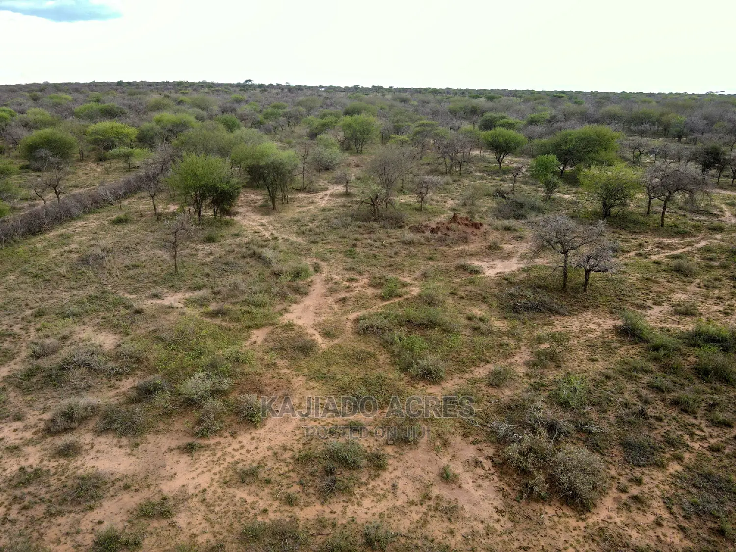 Prime 20 Osilalei(Kajiado Central)