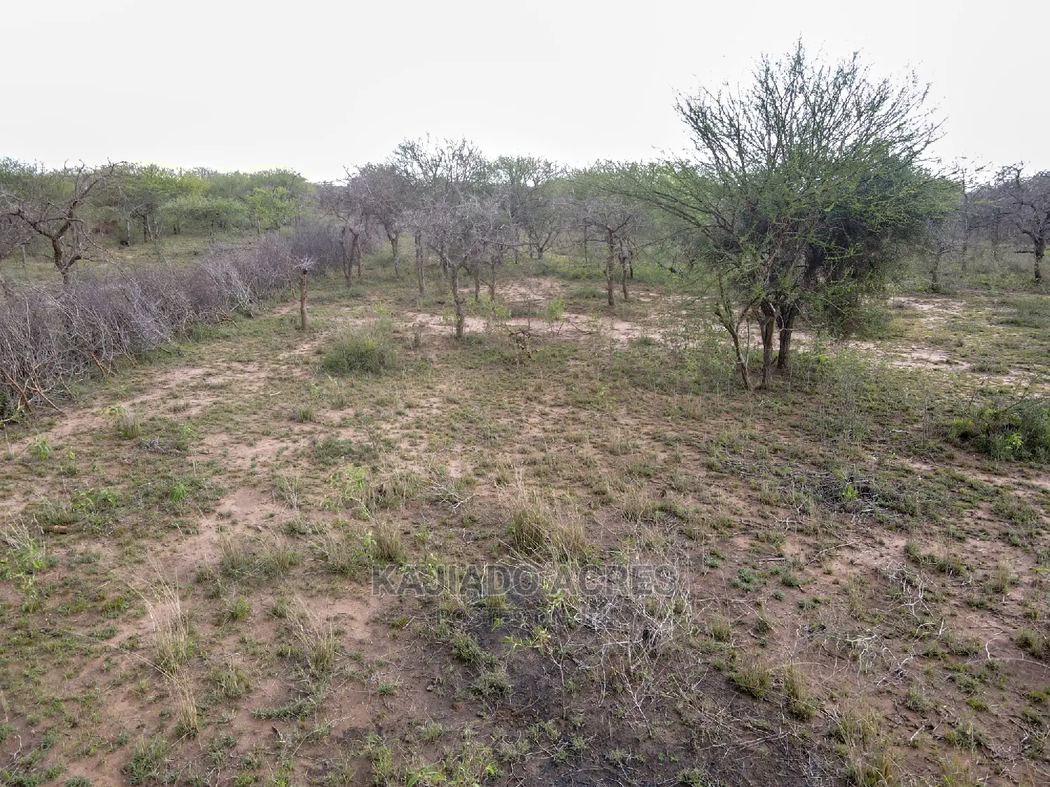 Prime 20 Osilalei(Kajiado Central)