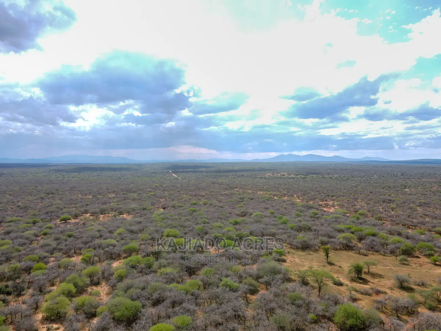 42 Acres Iselengei(Oloitoktok South) at 350k Per Acre