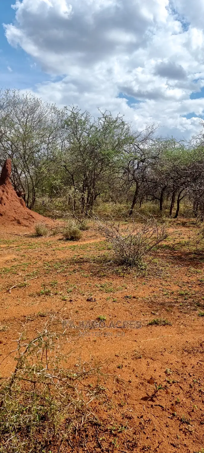 42 Acres Iselengei(Oloitoktok South) at 350k Per Acre