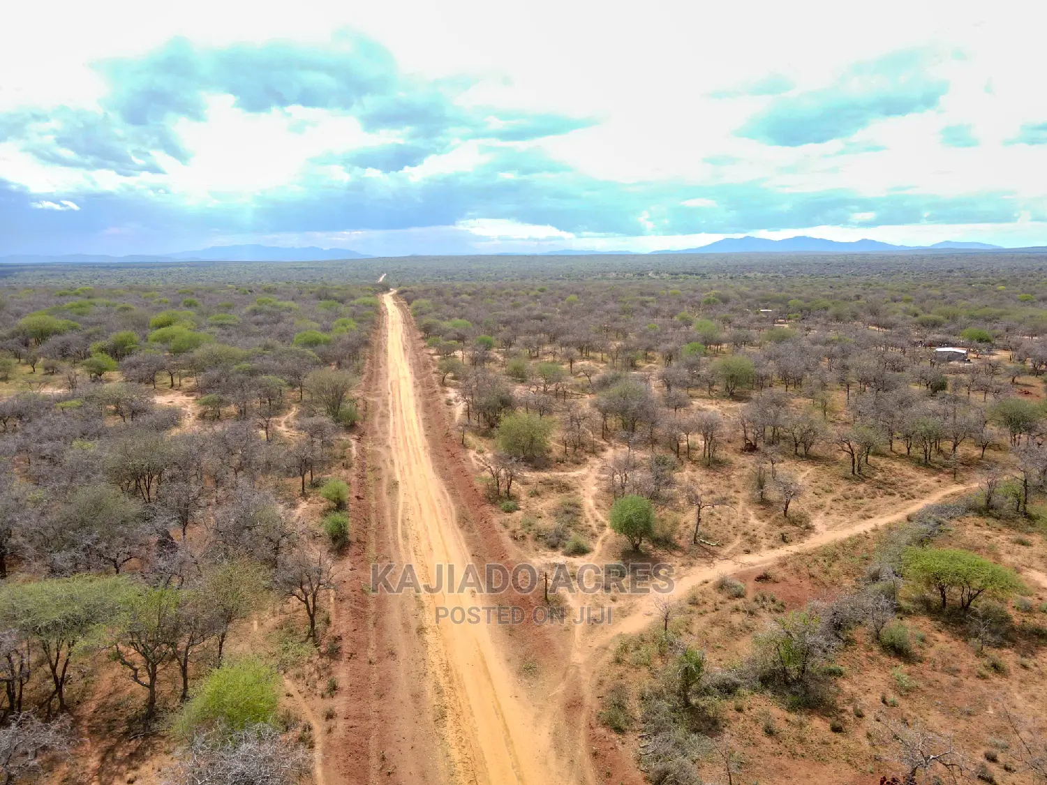 42 Acres Iselengei(Oloitoktok South) at 350k Per Acre