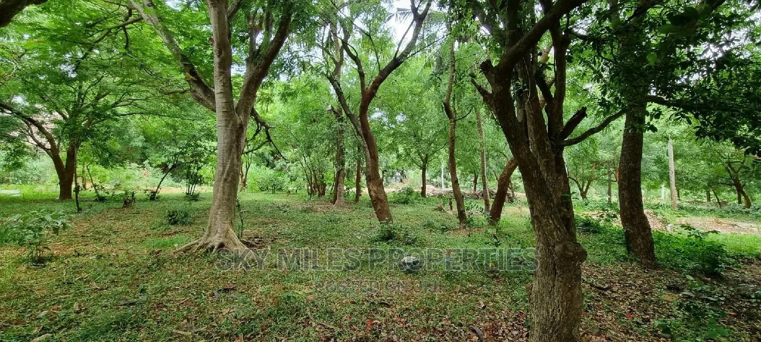 1/4 Plots on Sale in La-Marina Creek Side Mtwapa