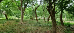 1/4 Plots on Sale in La-Marina Creek Side Mtwapa