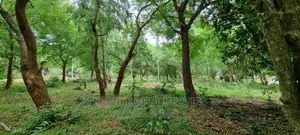 1/4 Plots on Sale in La-Marina Creek Side Mtwapa