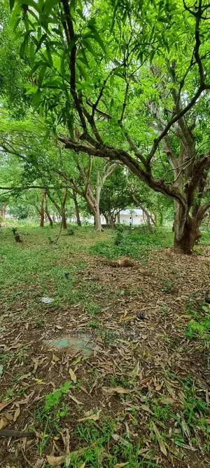 1/4 Plots on Sale in La-Marina Creek Side Mtwapa