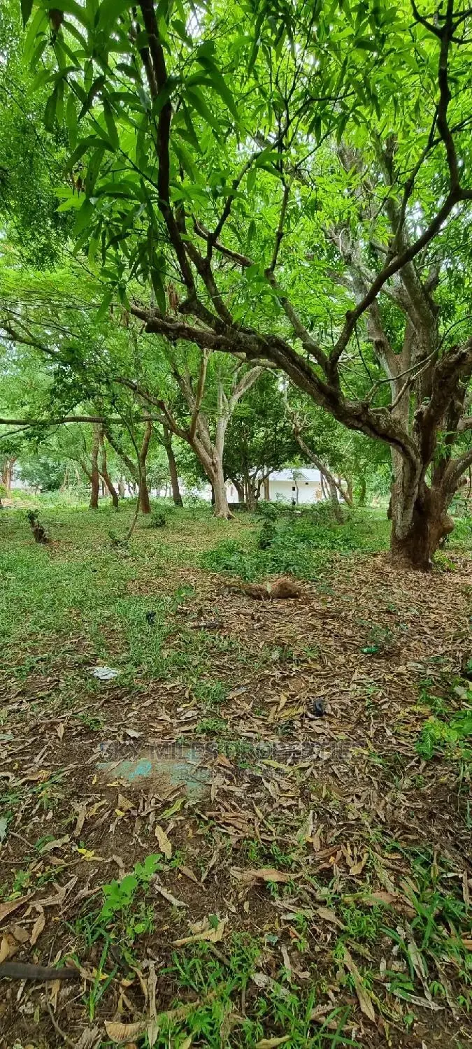 1/4 Plots on Sale in La-Marina Creek Side Mtwapa
