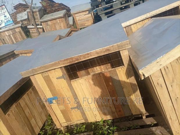 1+ Year Male Purebred German Shepherd - thumbnail 3