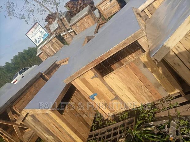 1+ Year Male Purebred German Shepherd - thumbnail 4