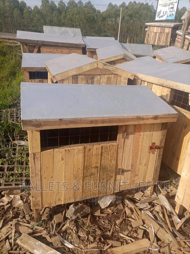 1+ Year Male Purebred German Shepherd - main view