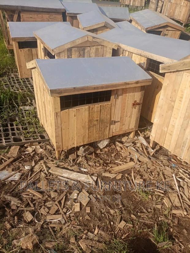 1+ Year Male Purebred German Shepherd - thumbnail 5