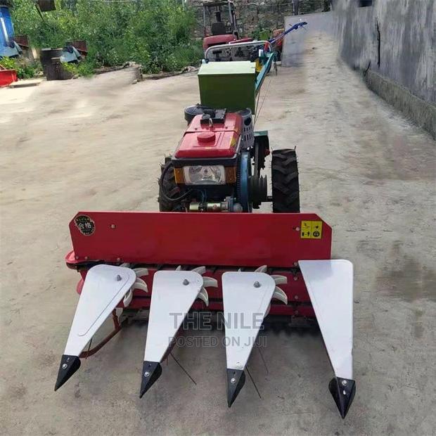 Forage Wheat Beans Harvesting - main view