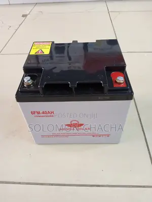 Wenda 40ah 12v Battery Backup