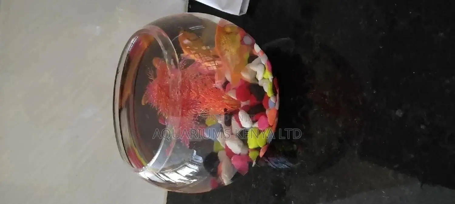 Fish Bowl, Complete Set