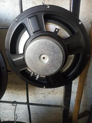 Bass Speaker 10"