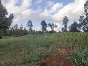 Nyeri Gatitu/Kangaita 3.7 Acres
