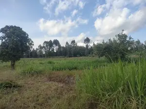 Nyeri Gatitu/Kangaita 3.7 Acres