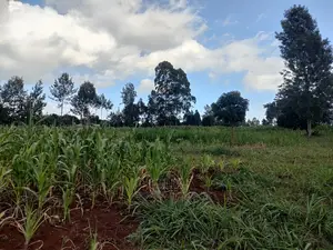 Nyeri Gatitu/Kangaita 3.7 Acres