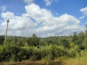 Nyeri/Kangaita 3 Acres