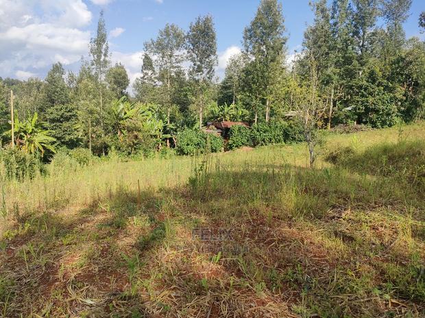 Nyeri/Kangaita 3 Acres - thumbnail 2