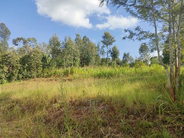 Nyeri/Kangaita 3 Acres - thumbnail 3