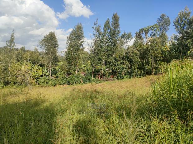 Nyeri/Kangaita 3 Acres - thumbnail 4