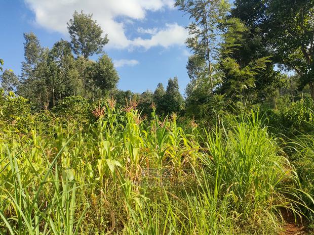 Nyeri/Kangaita 3 Acres - thumbnail 5