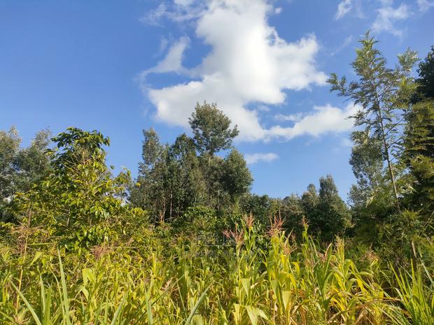 Nyeri/Kangaita 3 Acres - thumbnail 6