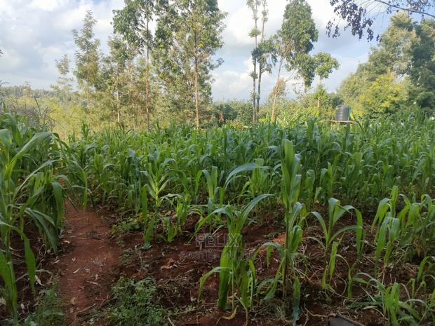 Nyeri/Kangaita 3 Acres - thumbnail 8