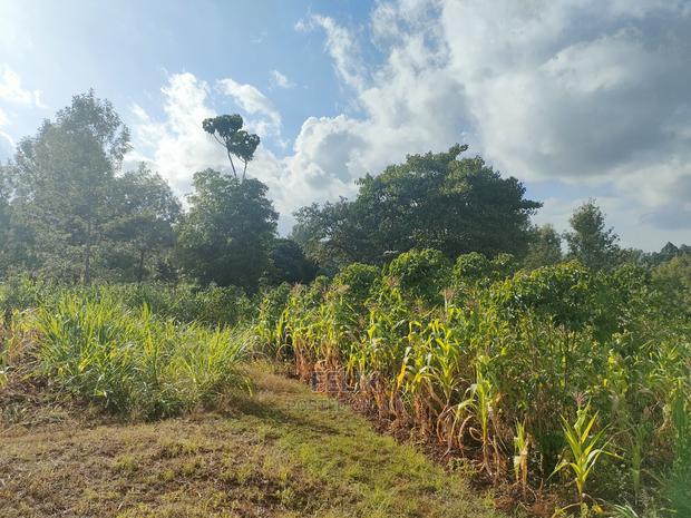 Nyeri/Kangaita 3 Acres - thumbnail 9