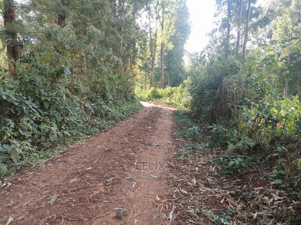Nyeri/Kangaita 3 Acres - thumbnail 7