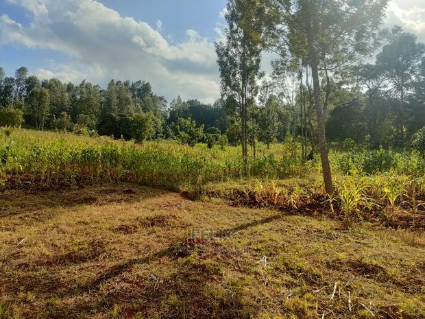 Nyeri/Kangaita 3 Acres - thumbnail 11