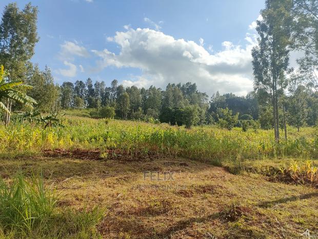 Nyeri/Kangaita 3 Acres - thumbnail 10