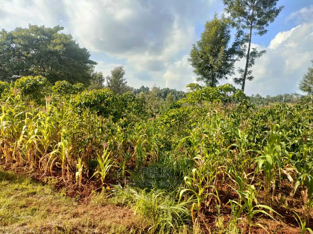 Nyeri/Kangaita 3 Acres - thumbnail 12