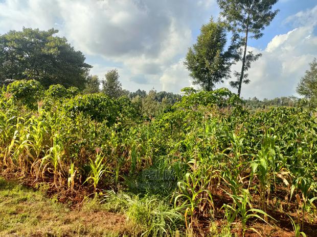 Nyeri/Kangaita 3 Acres - thumbnail 13