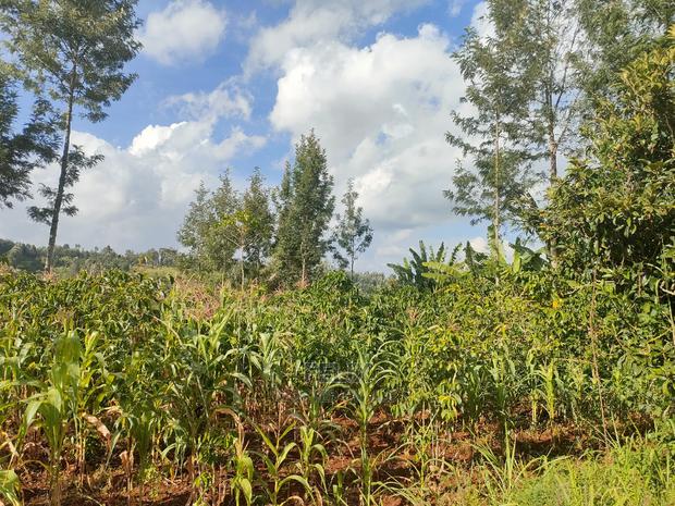 Nyeri/Kangaita 3 Acres - thumbnail 14