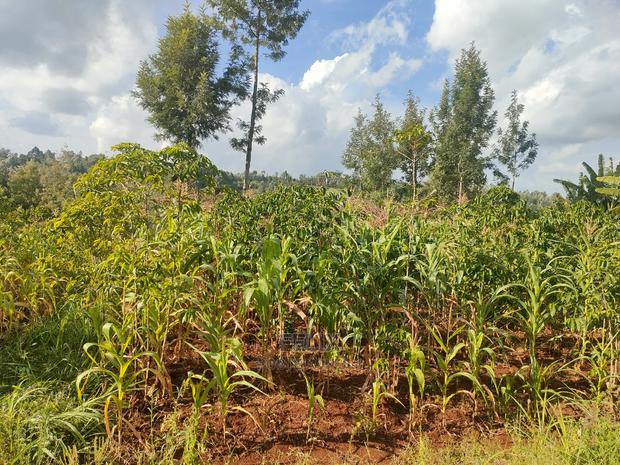 Nyeri/Kangaita 3 Acres - thumbnail 15