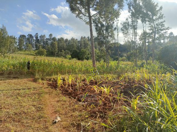 Nyeri/Kangaita 3 Acres - thumbnail 16