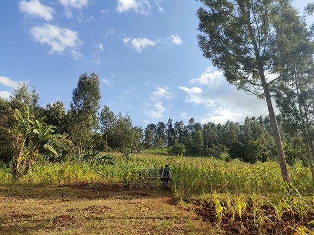 Nyeri/Kangaita 3 Acres - thumbnail 18
